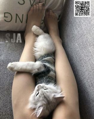 亚洲乱熟女香蕉一区二区三区少妇_蓝光迅雷电影在线