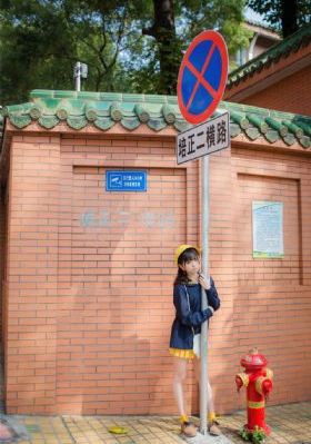 2020年国产轿车销量排行榜_BD国语手机在线看
